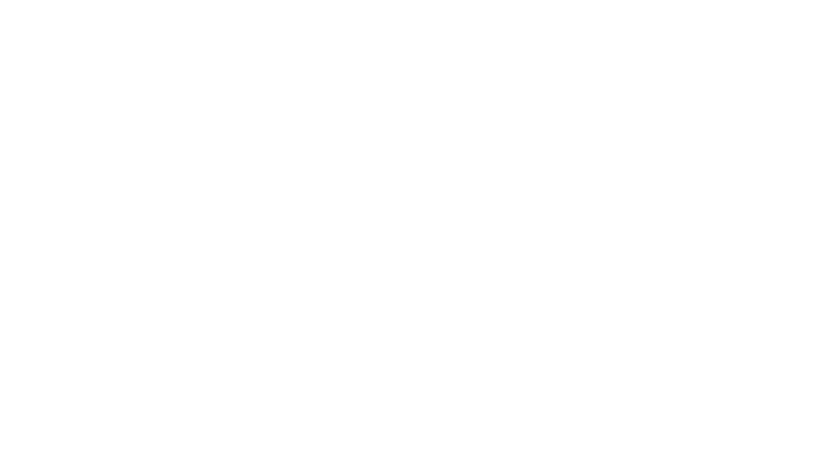 Chicago Fire