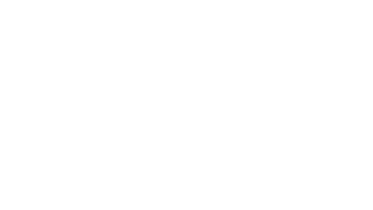 Z Nation