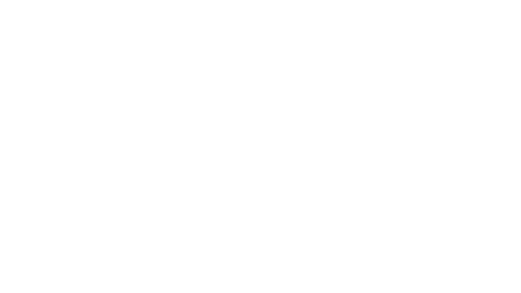 American Pickers, la brocante made in USA