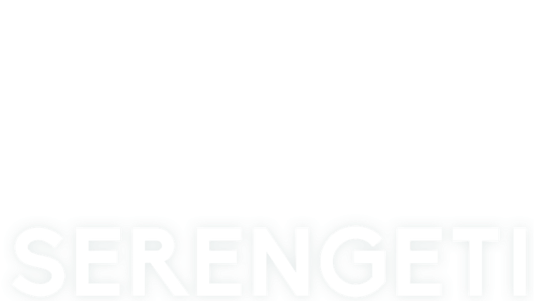 Serengeti, la grande cavalcade des animaux