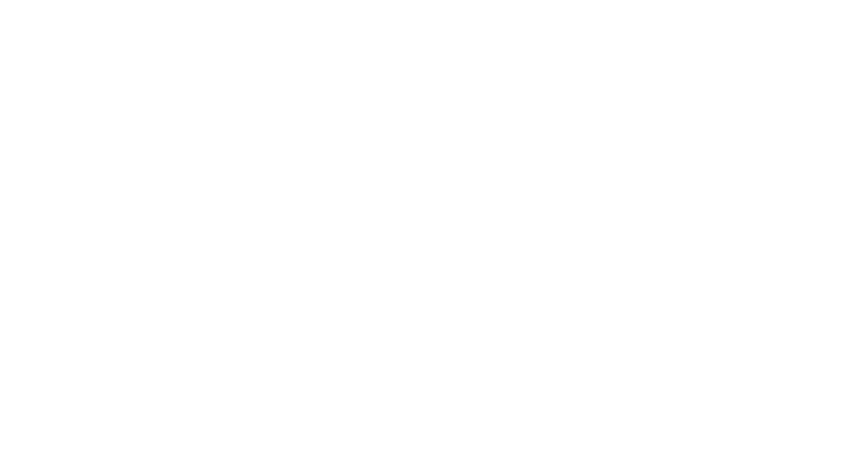 Dr Foster