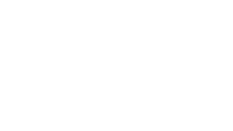 La ragazza
