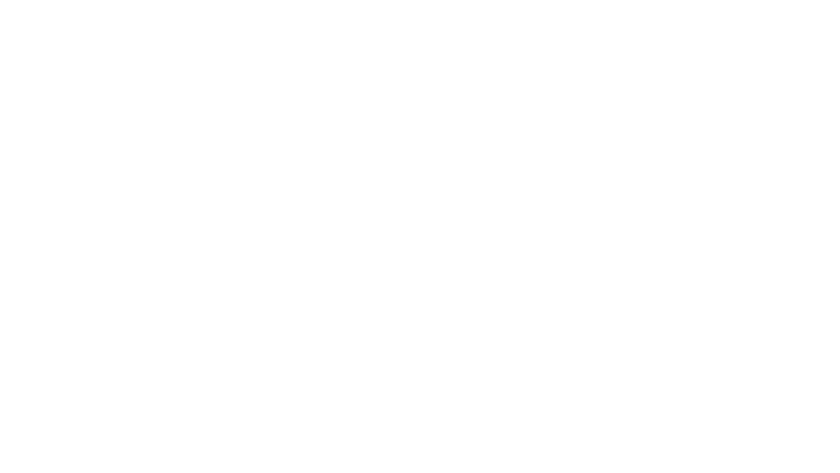 Fighter