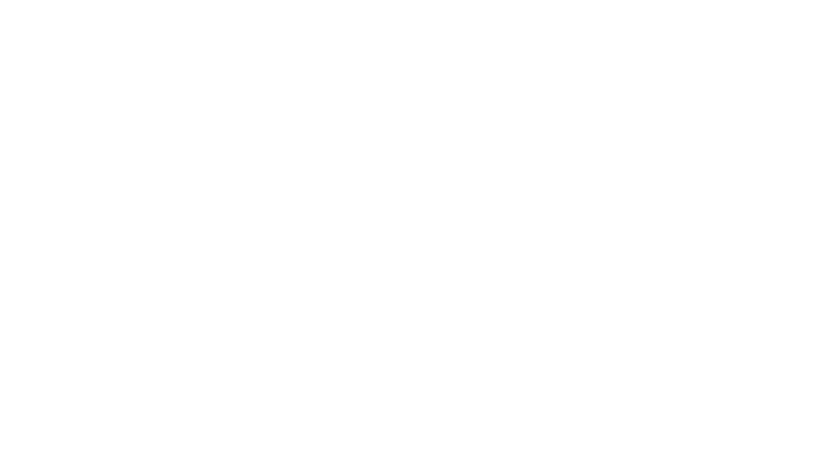 Terminator Renaissance