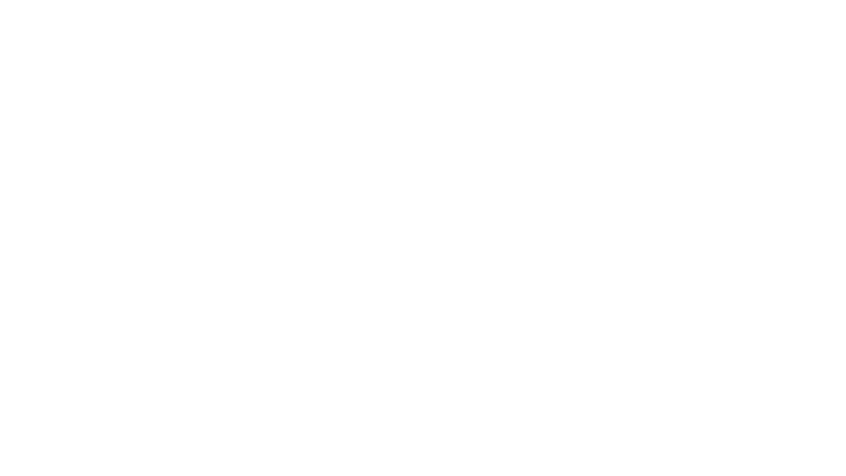 Hot Fuzz