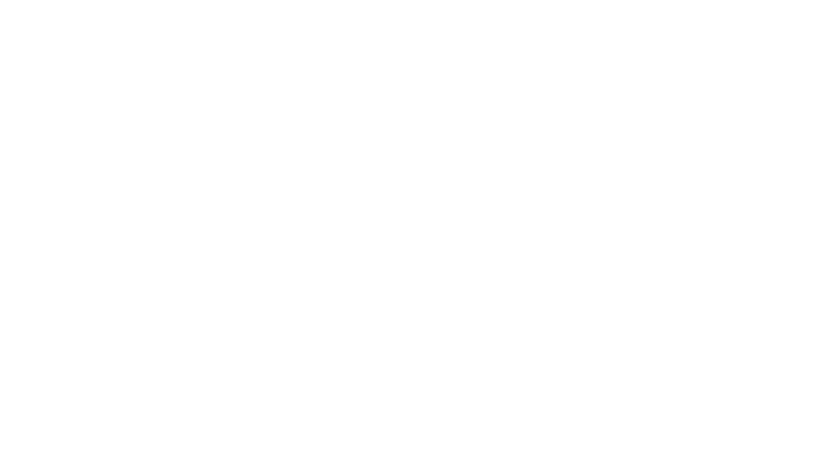 L'assaut
