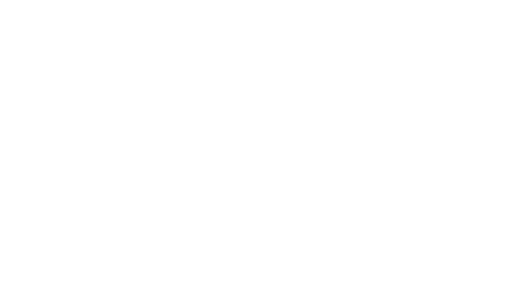 Les vétos