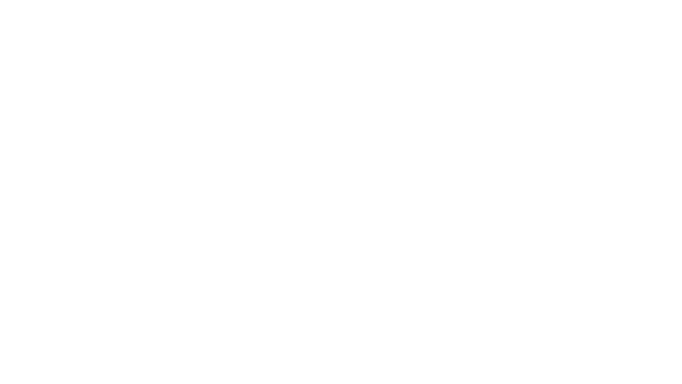 Les ponts de Paris, un patrimoine révélé