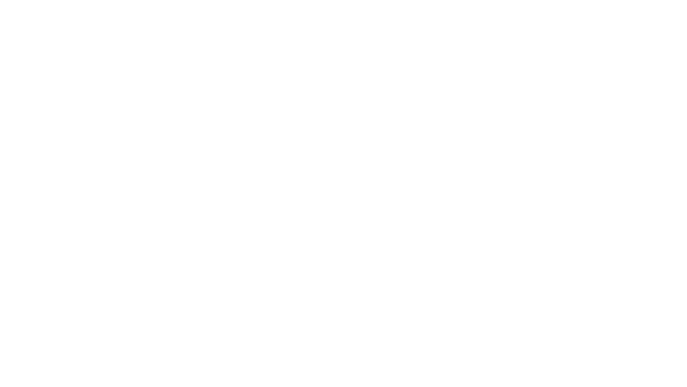 Le fabuleux bal des neiges