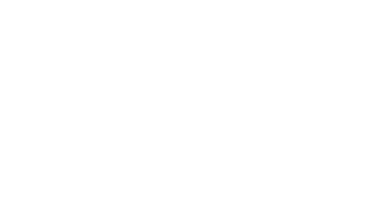 La fureur de vaincre