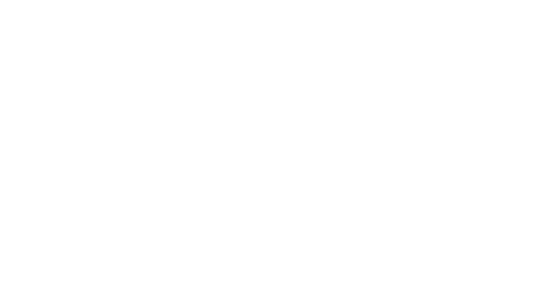 Manchots, une histoire de famille