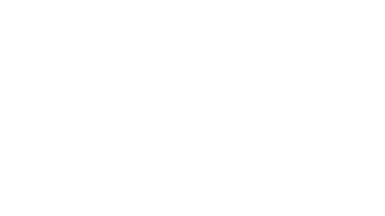 La boîte noire