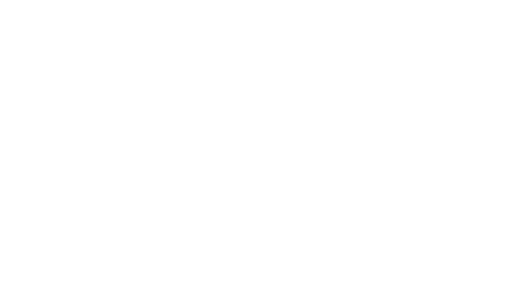 The Dress