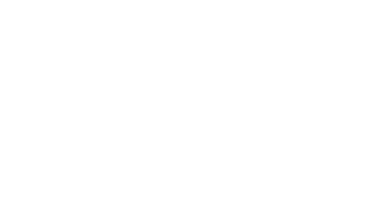 Mission Eagle