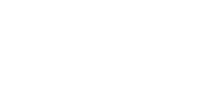 Firebird