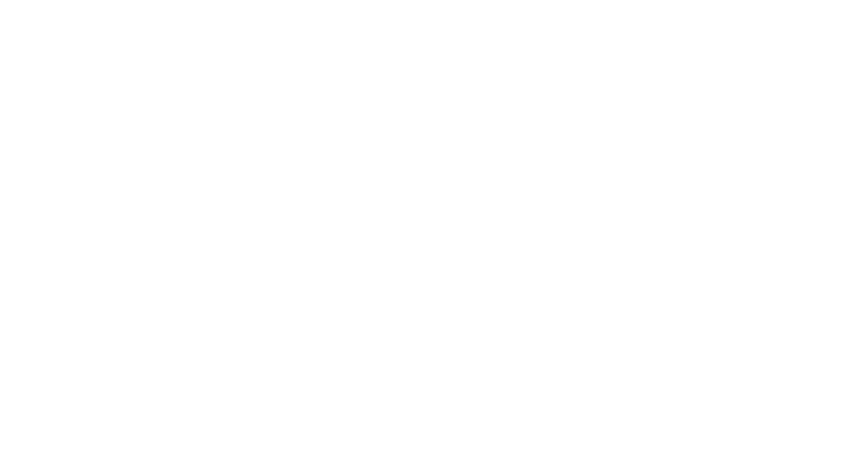Le Tigre et le Président