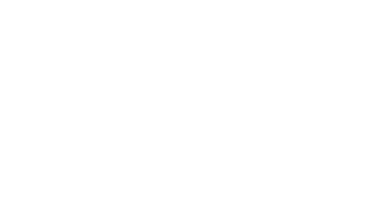 L'Assassinat de Kenneth Chamberlain