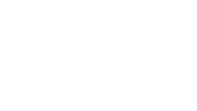 Kamala Harris, une ambition américaine