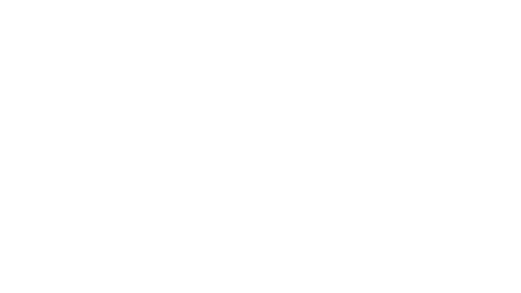 Nos frangins