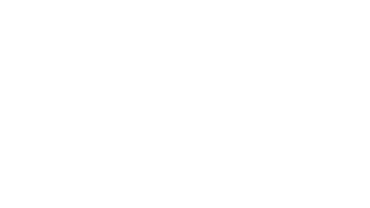 Le torrent