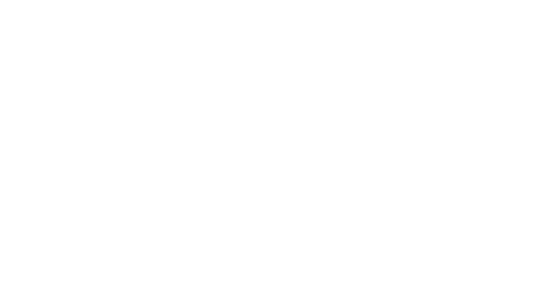 Bug