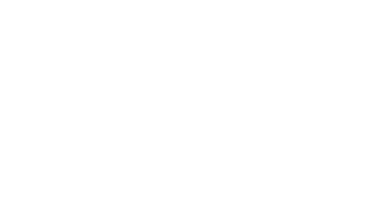 L'accordeur