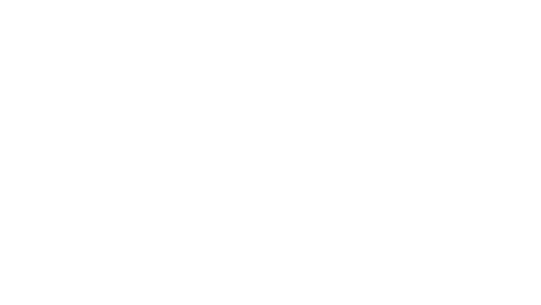 Maestro(s)