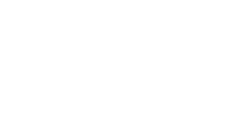 Le Tourbillon de la vie