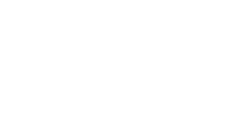 A History of Violence