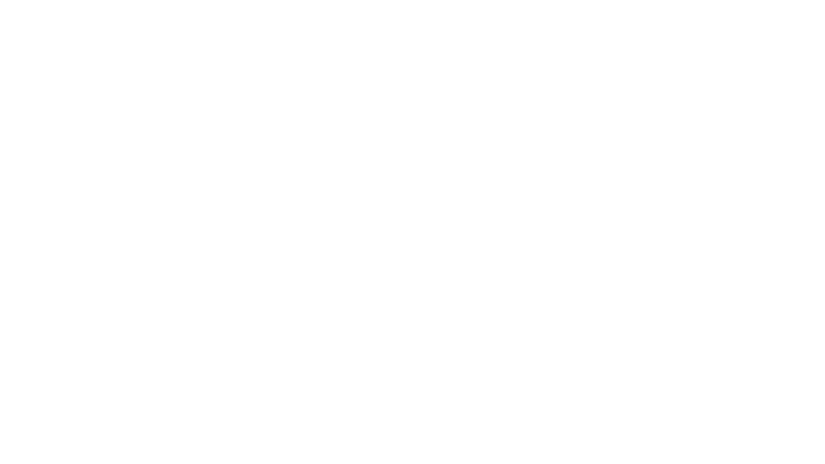 Bixa Travesty