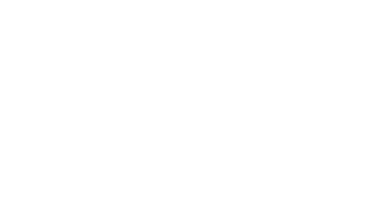 Monsieur Li : Trafiquant d'armes