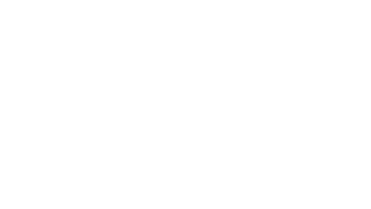Le coup de maître