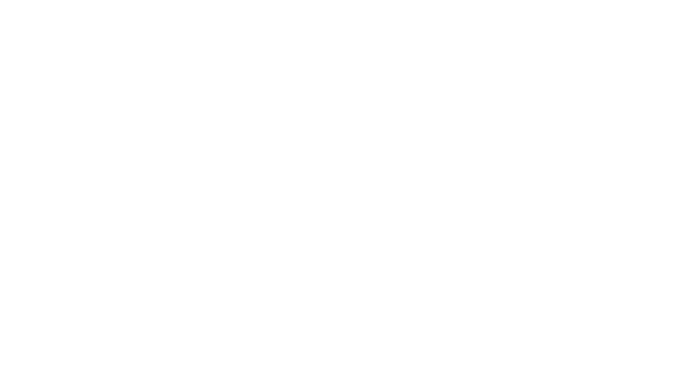 Big Five Spécial F1