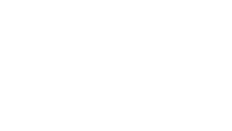 The Whale