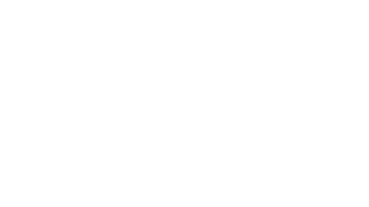 Puy du Fou : le génie des spectacles révélé