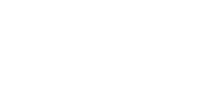 Des baleines, des tortues et des hommes