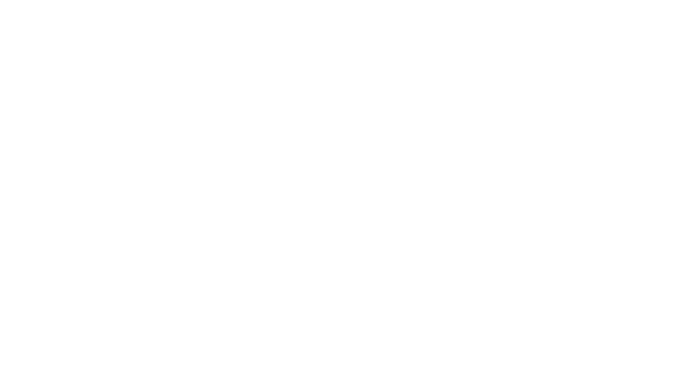 Les seigneurs du kung-fu