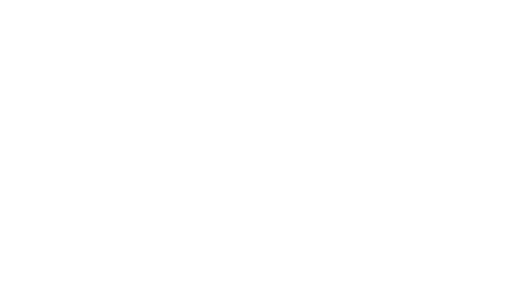 The Grandmaster