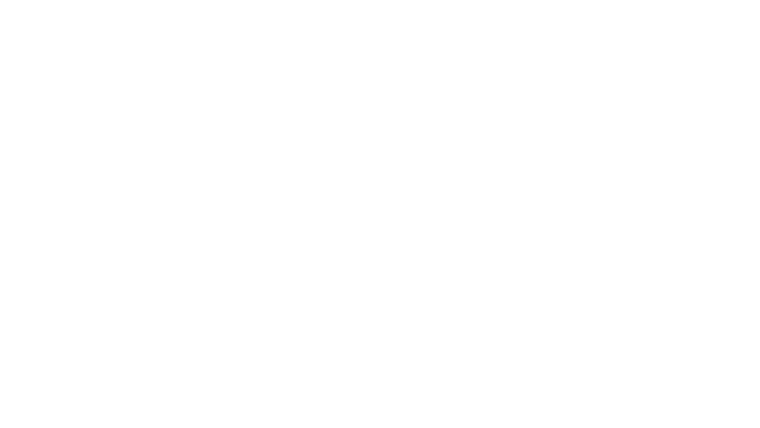 Noel Gallaghers High Flying Birds en concert au Zénith de Paris