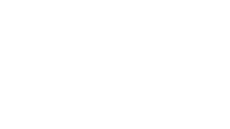 En plein vol