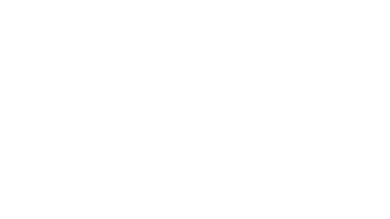 Les sept de Chicago
