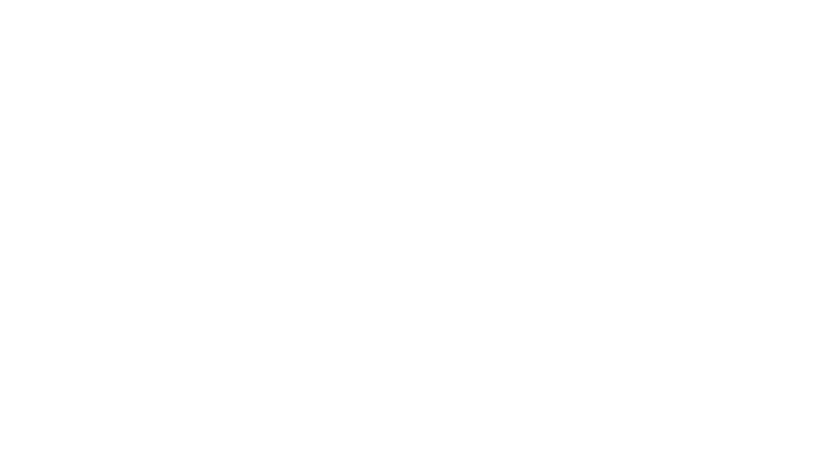 Pezzo di papa