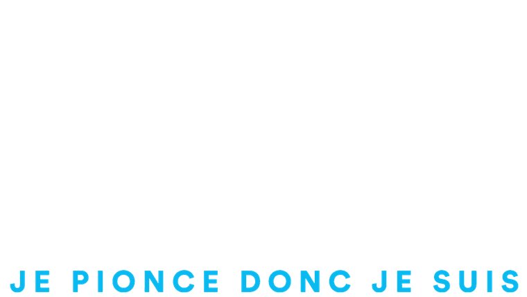 Michaël Hirsch - Je pionce donc je suis
