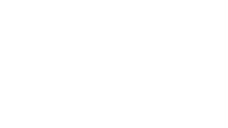 L'effet miroir