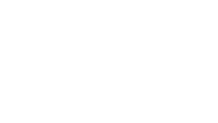 Détectives de choc