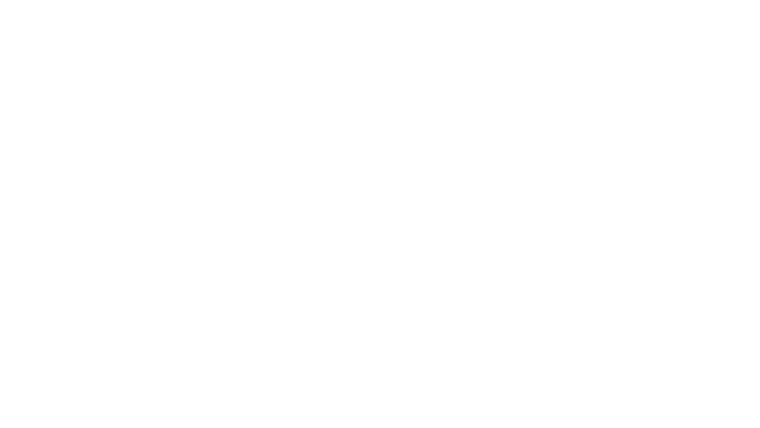Neutralité carbone, le grand mensonge