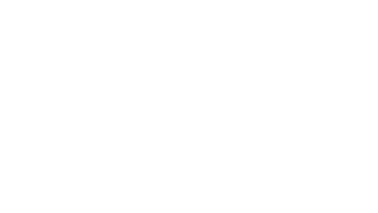 Les guetteurs