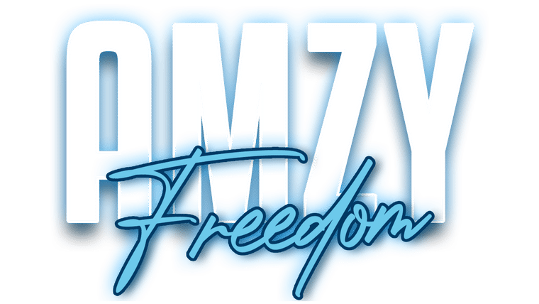 Concert Freedom de Amzy
