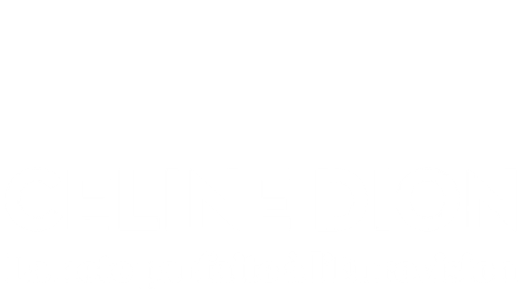 Céline Dion à l'Eurovision : La note parfaite