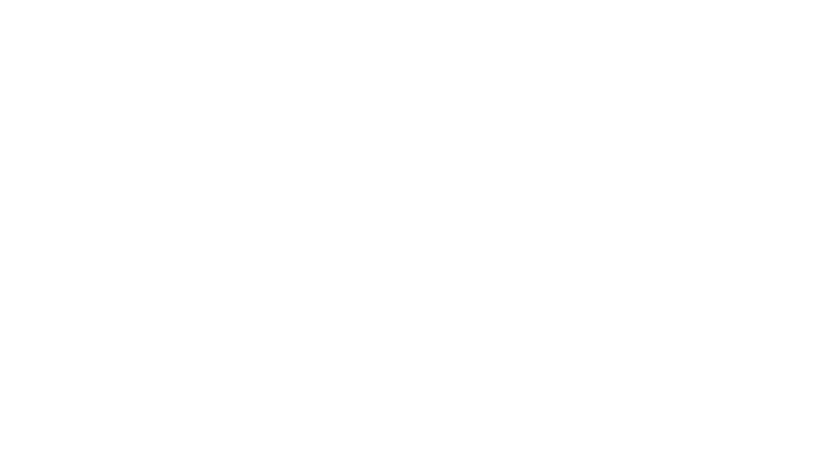 Mission carnaval